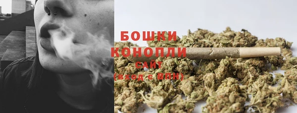 мяу мяу кристалл Гусь-Хрустальный