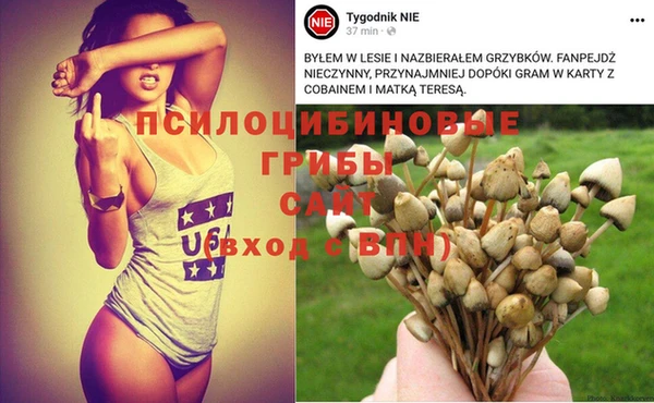 гашишное масло Гусиноозёрск