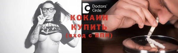 прущие грибы Тихвин