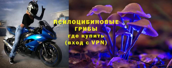 мяу мяу кристалл Гусь-Хрустальный